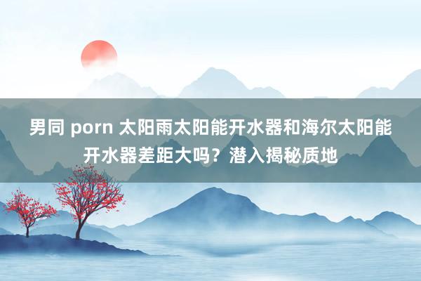 男同 porn 太阳雨太阳能开水器和海尔太阳能开水器差距大吗？潜入揭秘质地