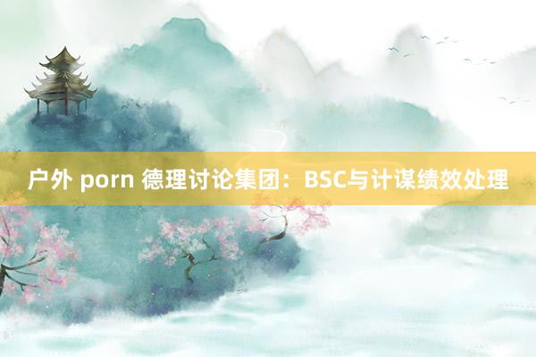 户外 porn 德理讨论集团：BSC与计谋绩效处理
