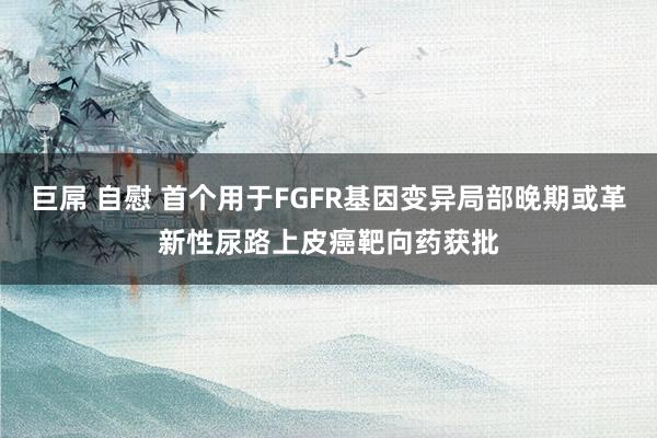 巨屌 自慰 首个用于FGFR基因变异局部晚期或革新性尿路上皮癌靶向药获批