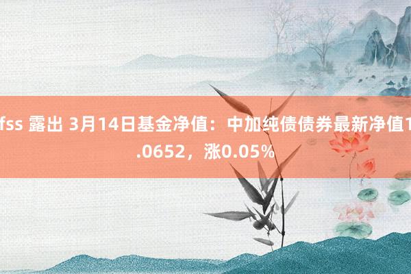 fss 露出 3月14日基金净值：中加纯债债券最新净值1.0652，涨0.05%