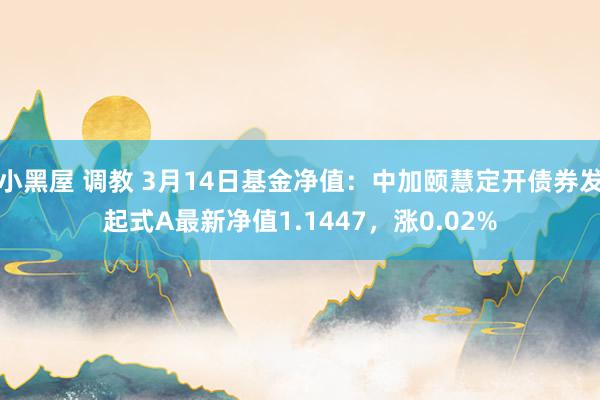 小黑屋 调教 3月14日基金净值：中加颐慧定开债券发起式A最新净值1.1447，涨0.02%