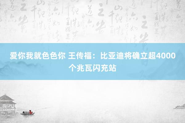 爱你我就色色你 王传福：比亚迪将确立超4000个兆瓦闪充站