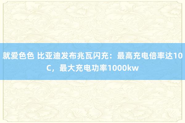 就爱色色 比亚迪发布兆瓦闪充：最高充电倍率达10C，最大充电功率1000kw