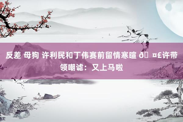 反差 母狗 许利民和丁伟赛前留情寒暄 🤣许带领嘲谑：又上马啦