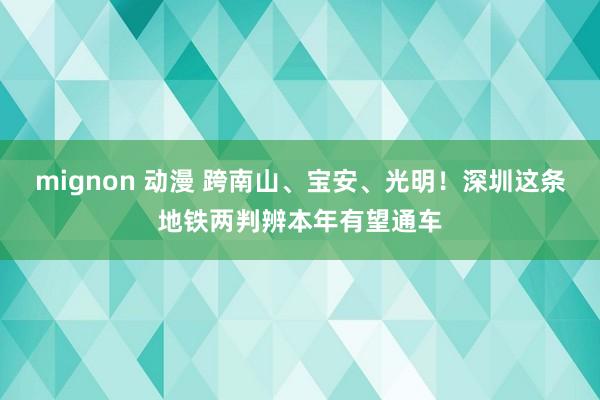 mignon 动漫 跨南山、宝安、光明！深圳这条地铁两判辨本年有望通车