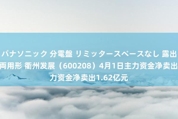 パナソニック 分電盤 リミッタースペースなし 露出・半埋込両用形 衢州发展（600208）4月1日主力资金净卖出1.62亿元