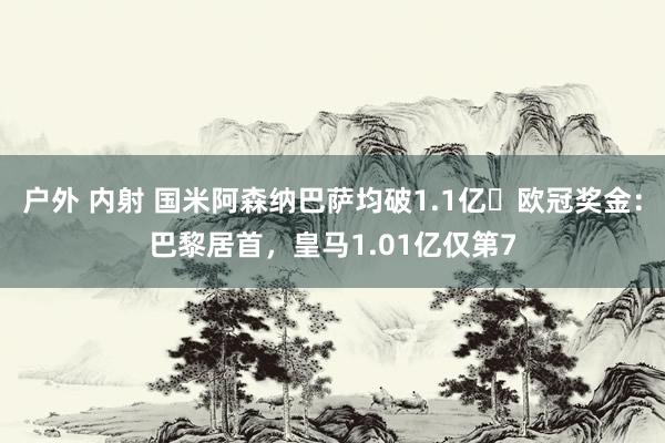户外 内射 国米阿森纳巴萨均破1.1亿❗欧冠奖金：巴黎居首，皇马1.01亿仅第7