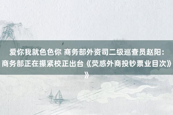 爱你我就色色你 商务部外资司二级巡查员赵阳：商务部正在攥紧校正出台《荧惑外商投钞票业目次》
